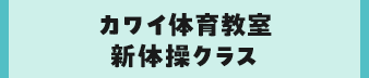 カワイ体育教室 新体操クラス