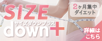 サイズダウンPlus